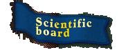 Scientific board